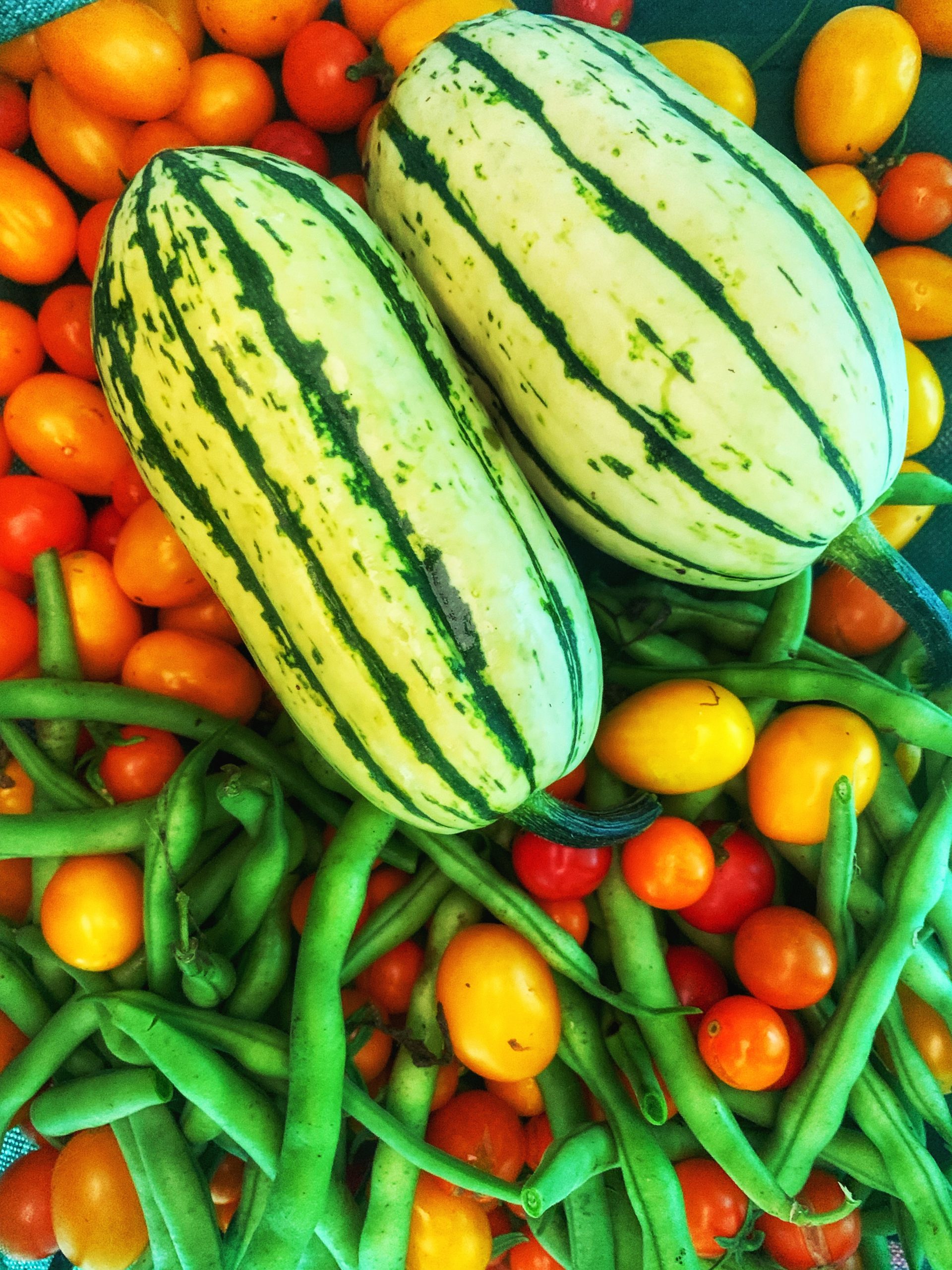 Seeking Produce Vendors for Saturday Markets!