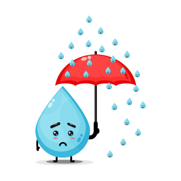 May 24 Market Canceled Due to Weather